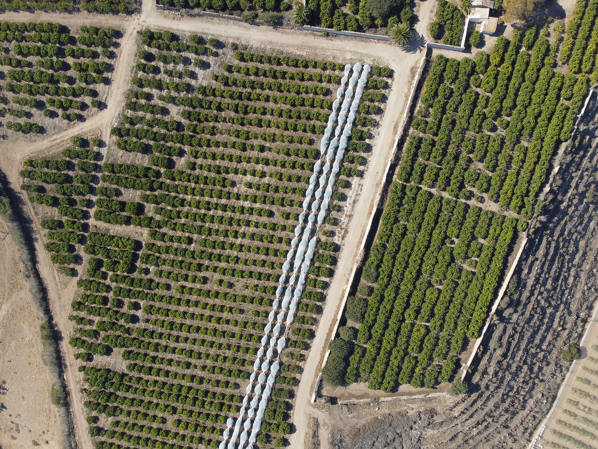 Proyecto Hacienda del Valle