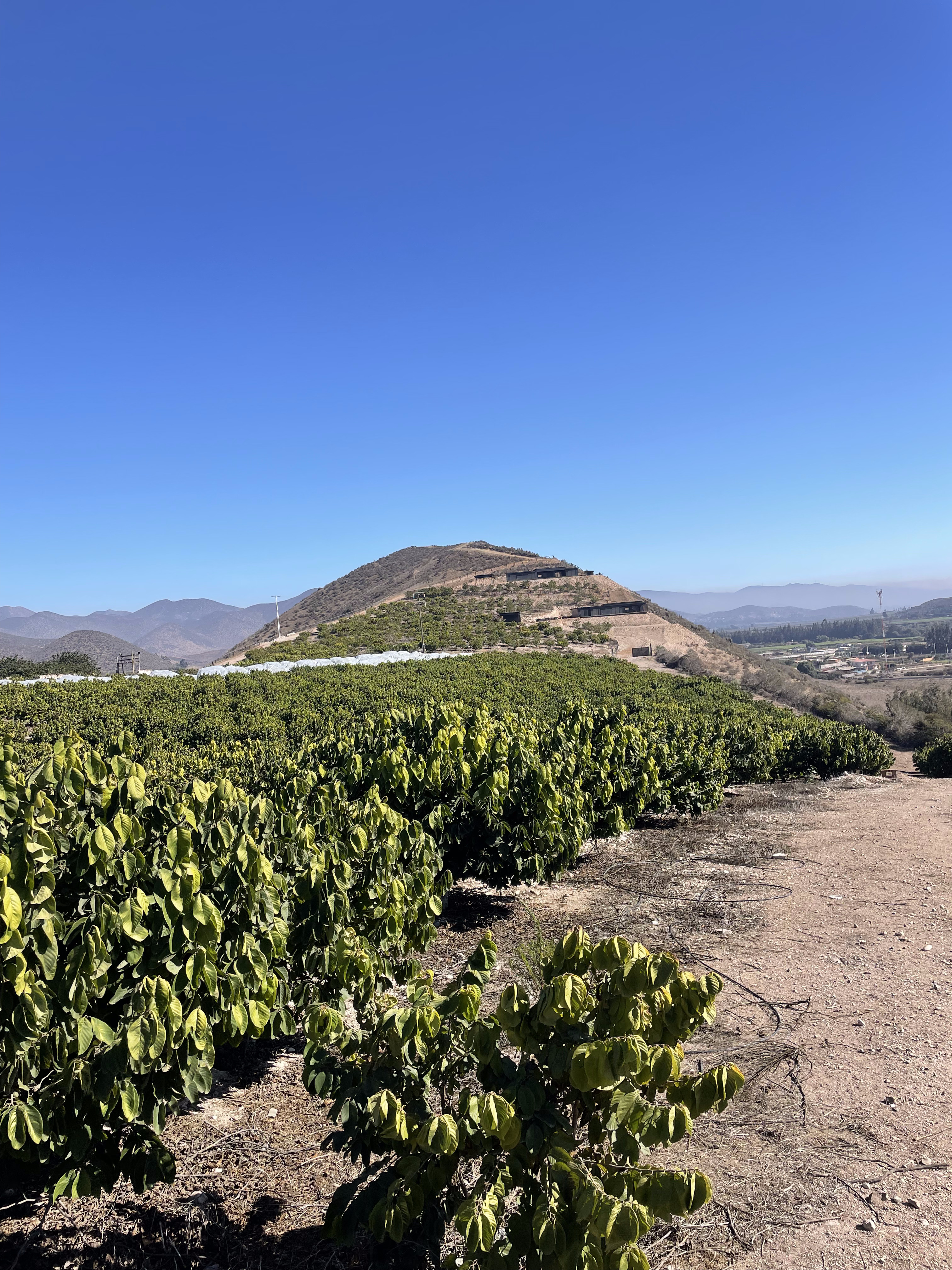 Proyecto Hacienda del Valle