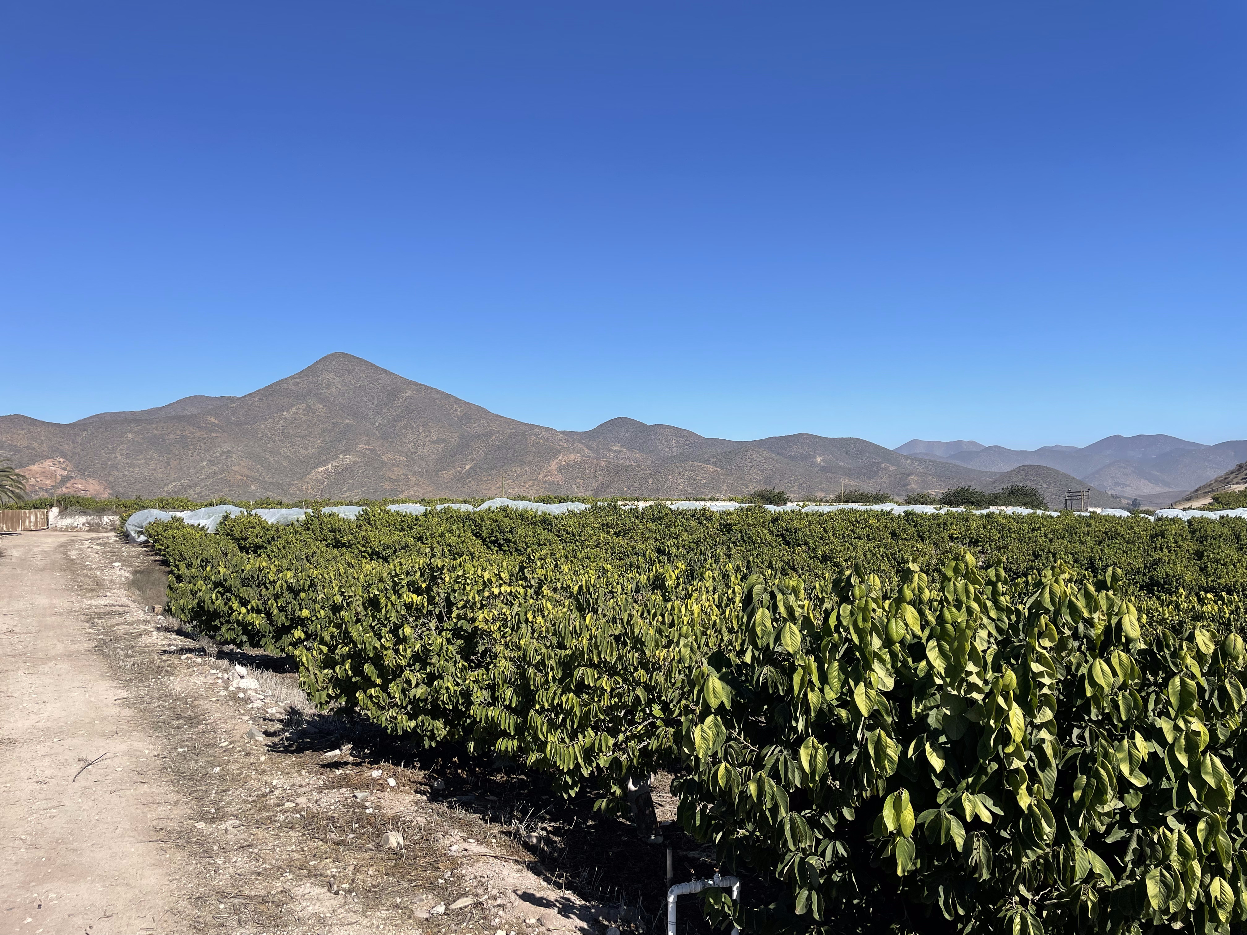 Proyecto Hacienda del Valle