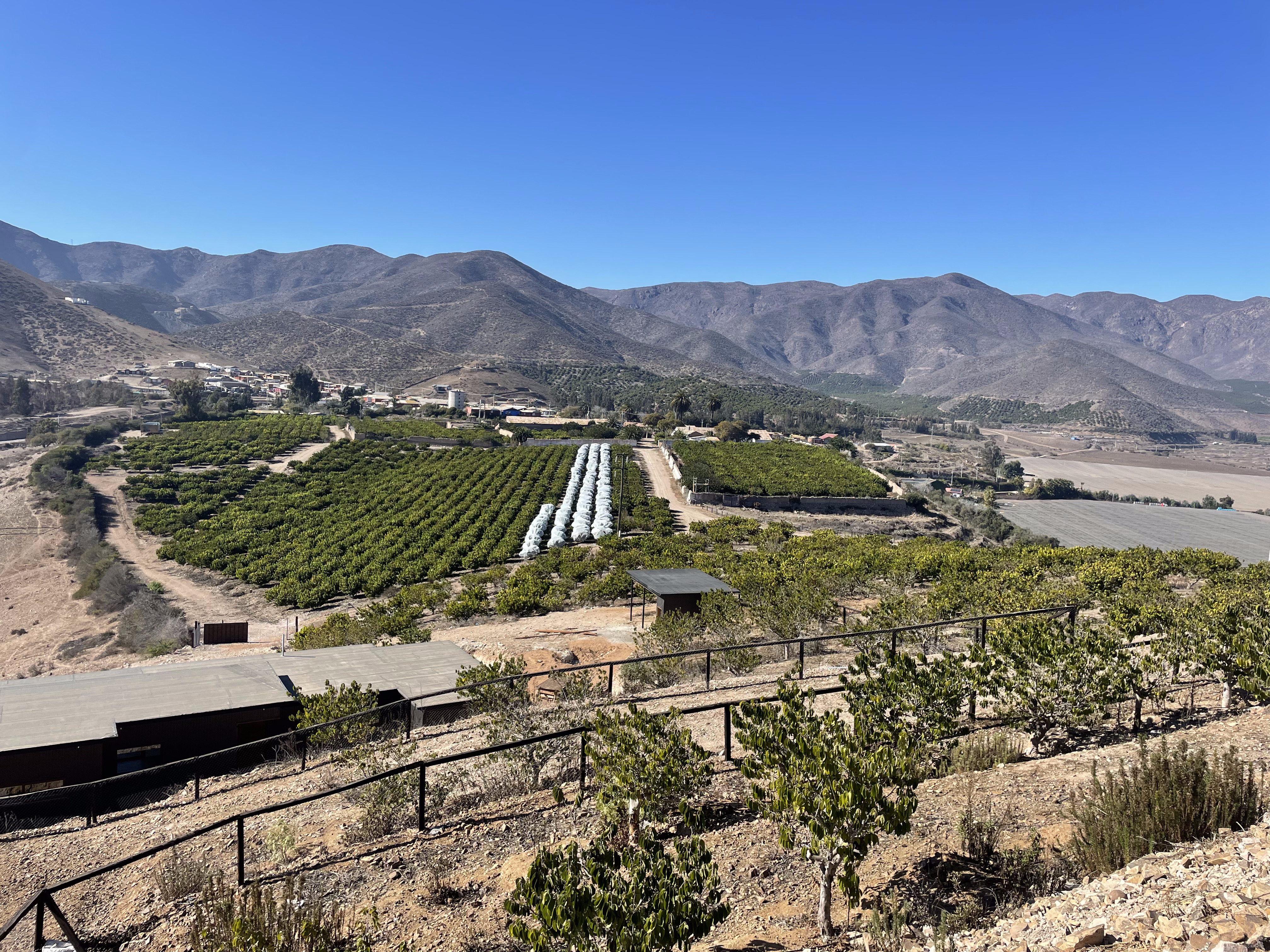Proyecto Hacienda del Valle