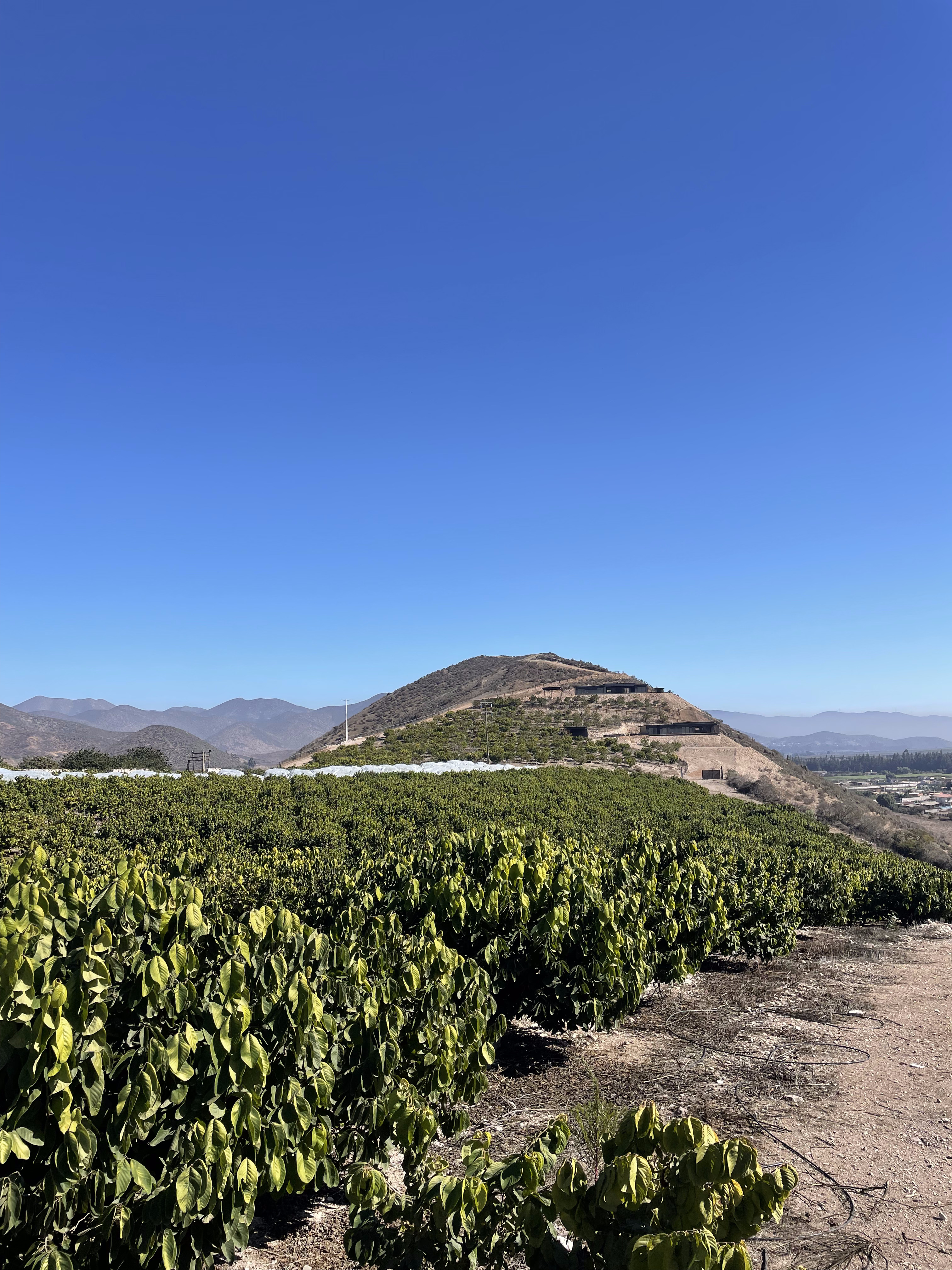 Proyecto Hacienda del Valle