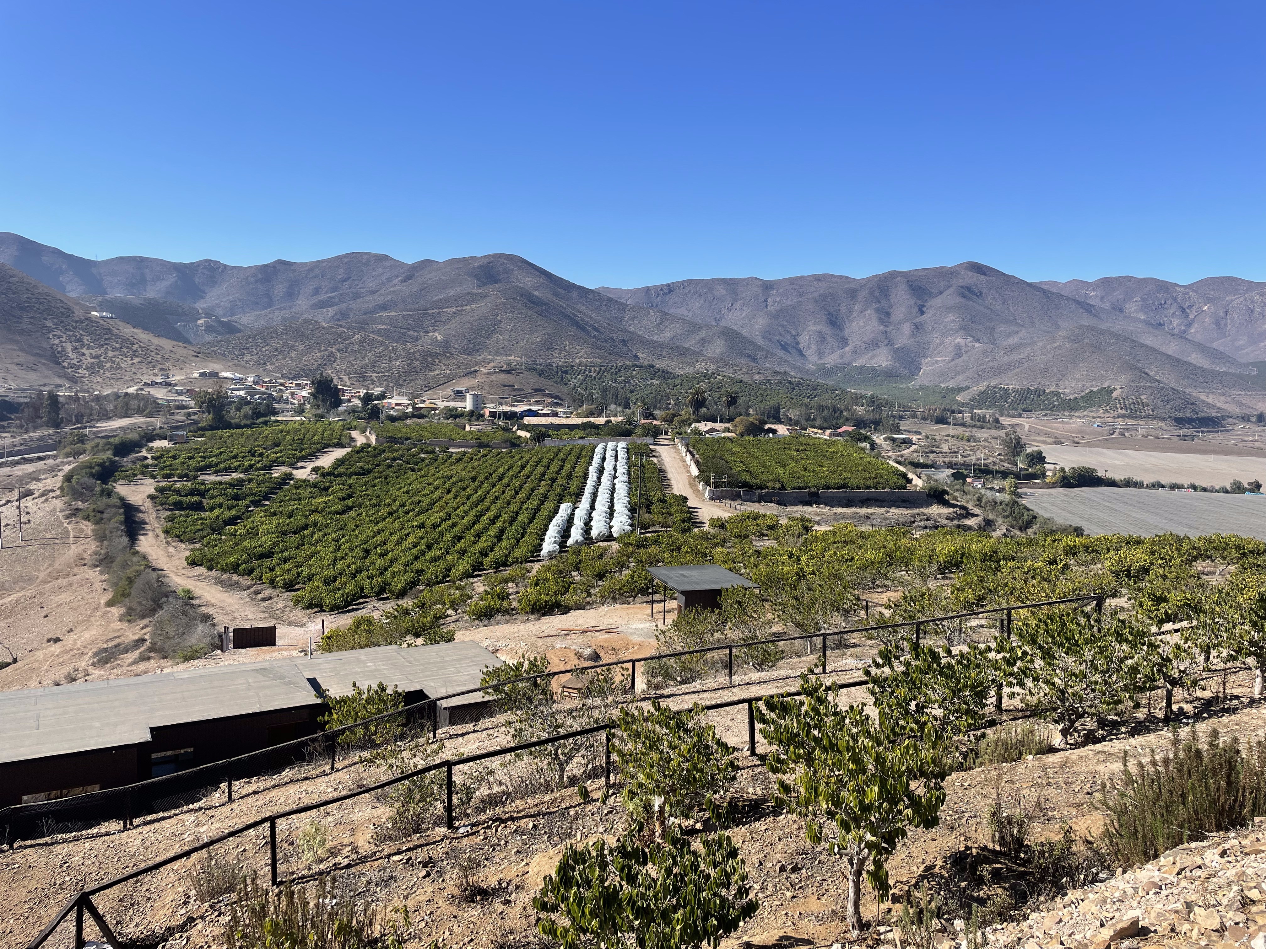 Proyecto Hacienda del Valle