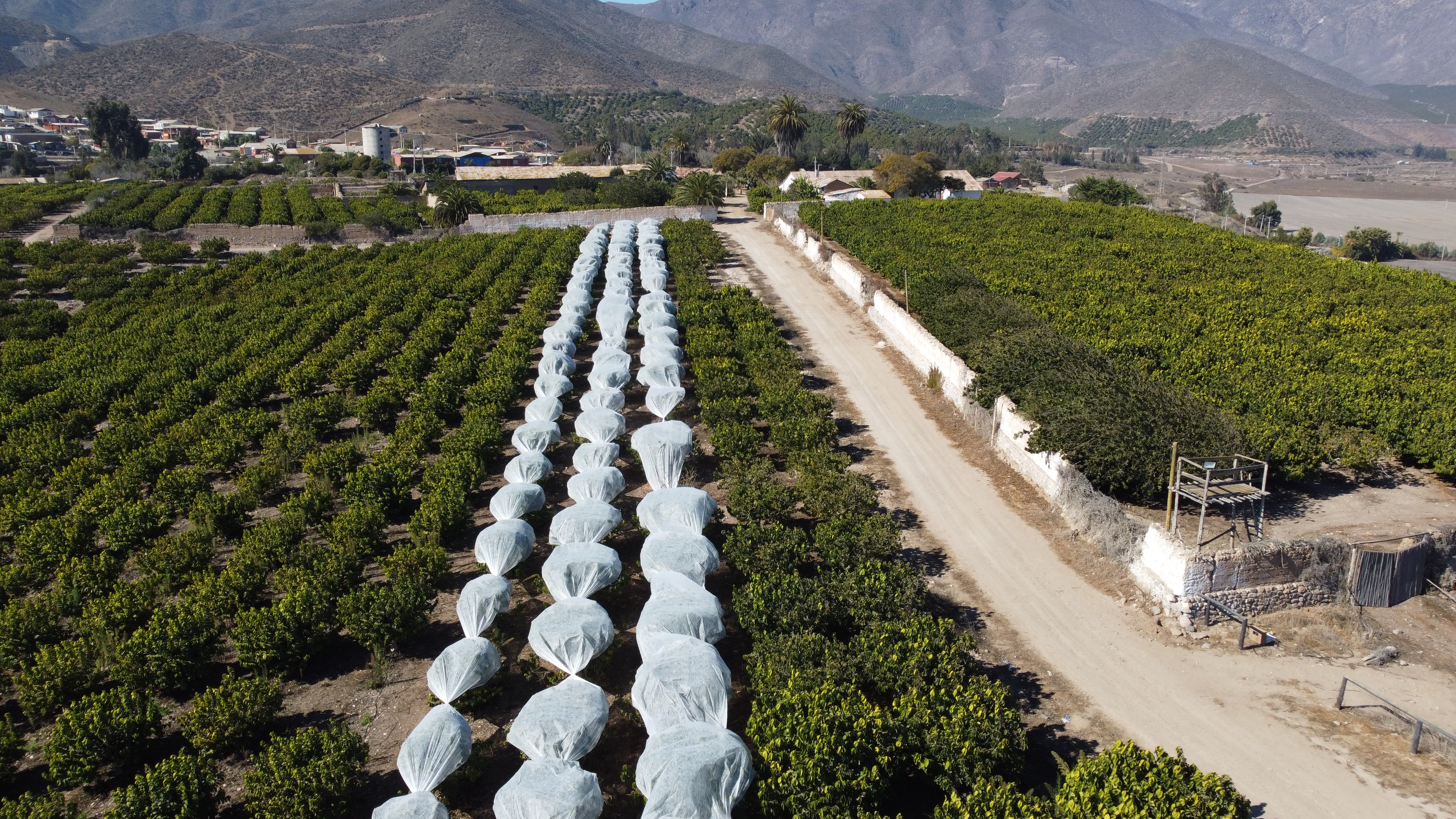 Proyecto Hacienda del Valle