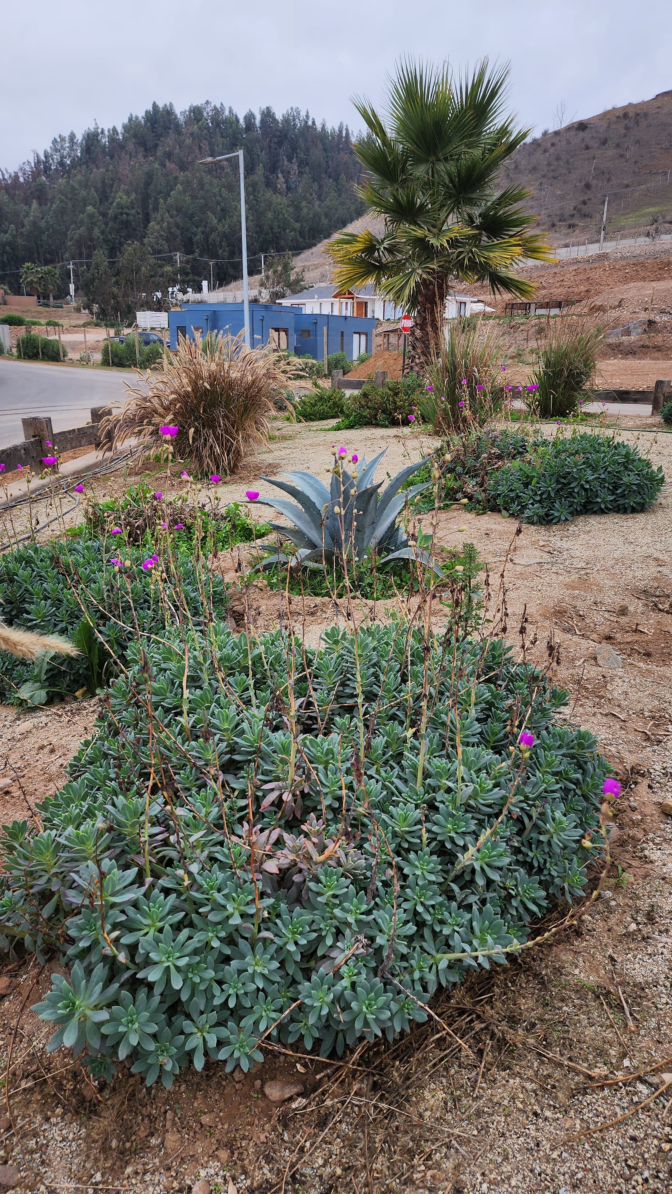 Condominio Lomas de Altovalsol