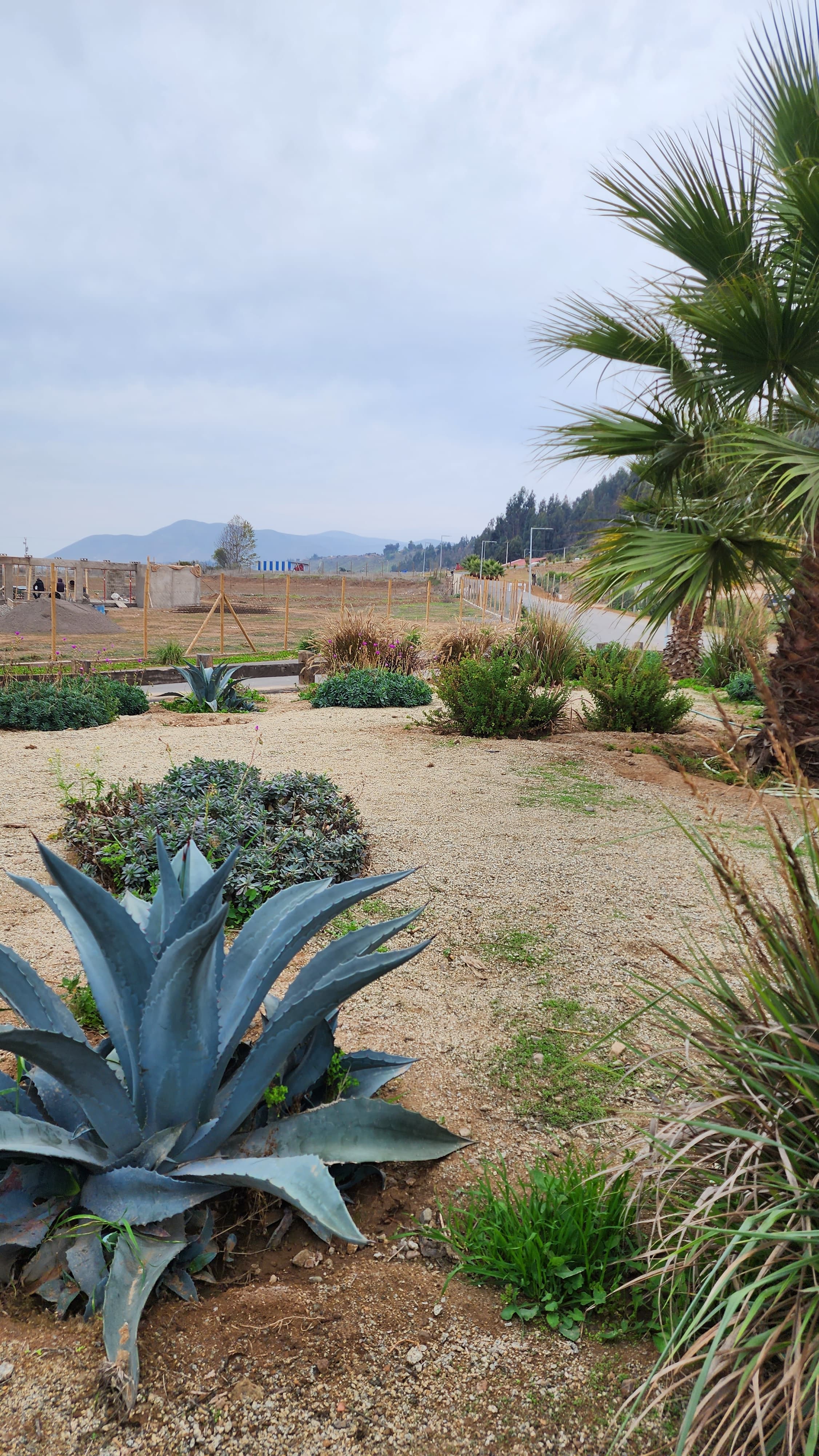 Condominio Lomas de Altovalsol