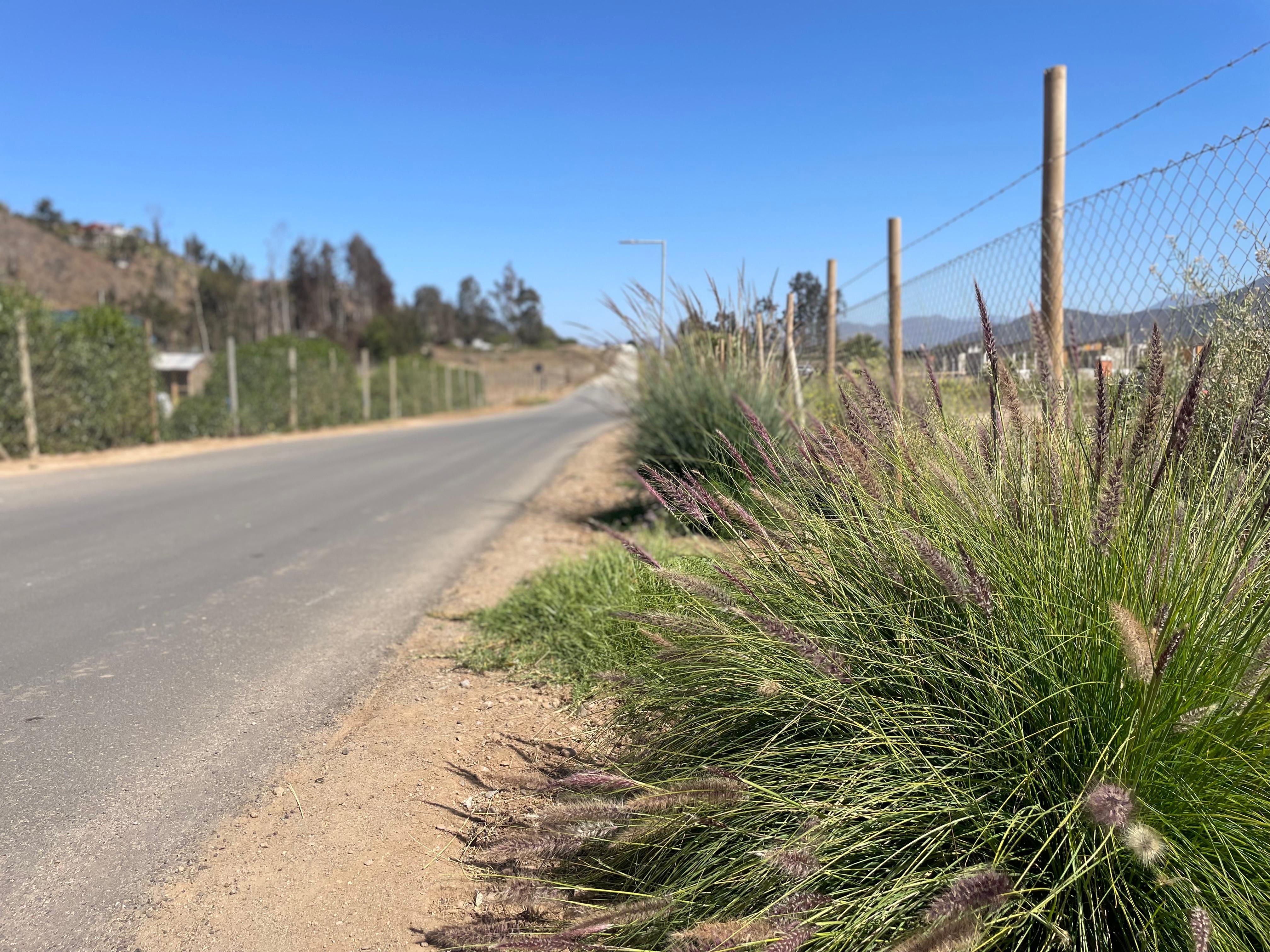 Condominio Lomas de Altovalsol