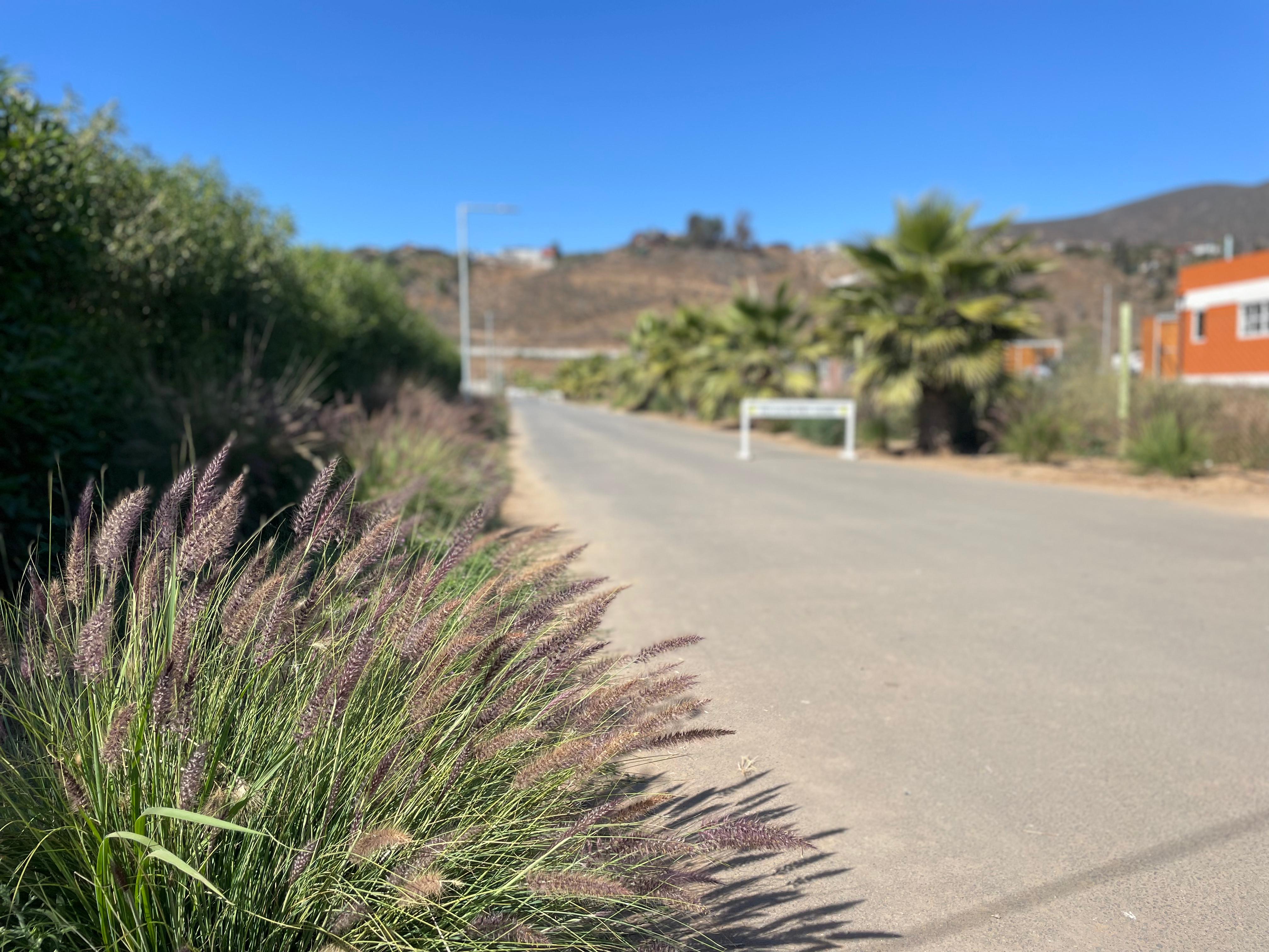 Condominio Lomas de Altovalsol