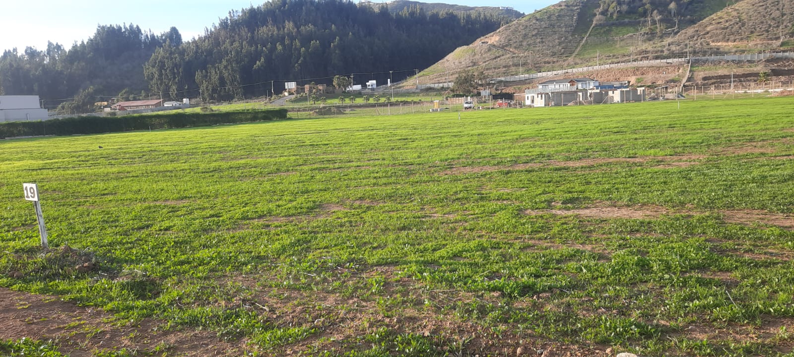 Condominio Lomas de Altovalsol